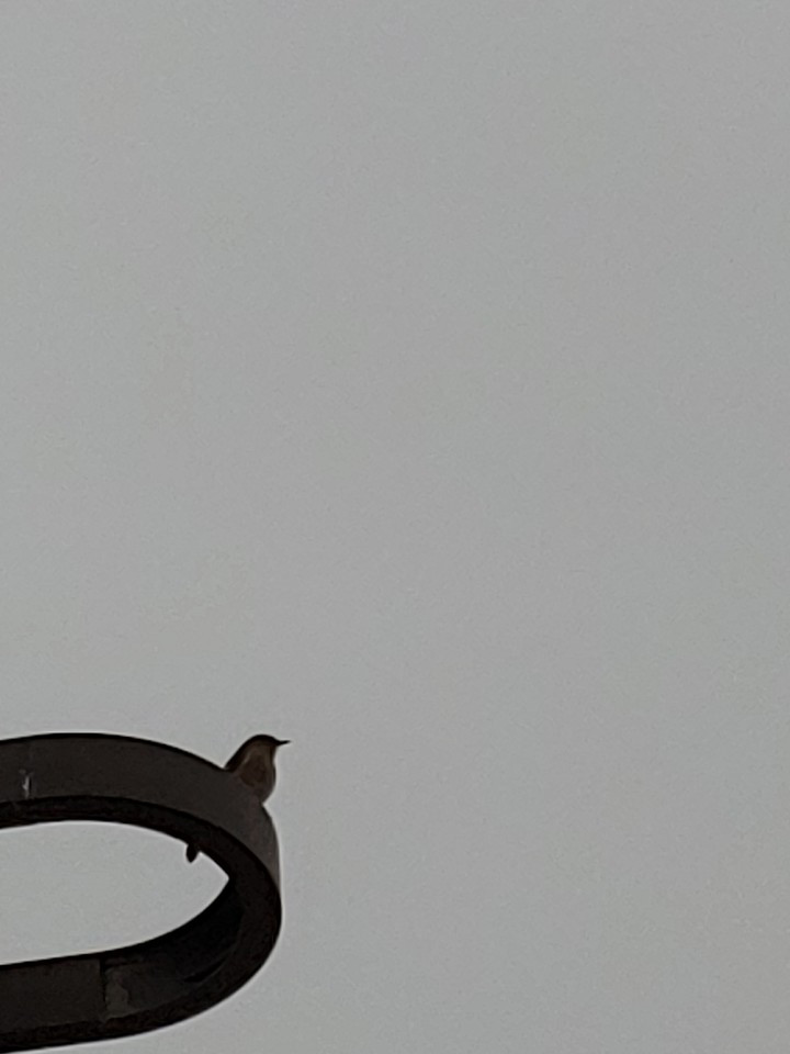 1583634898744 (1).jpg