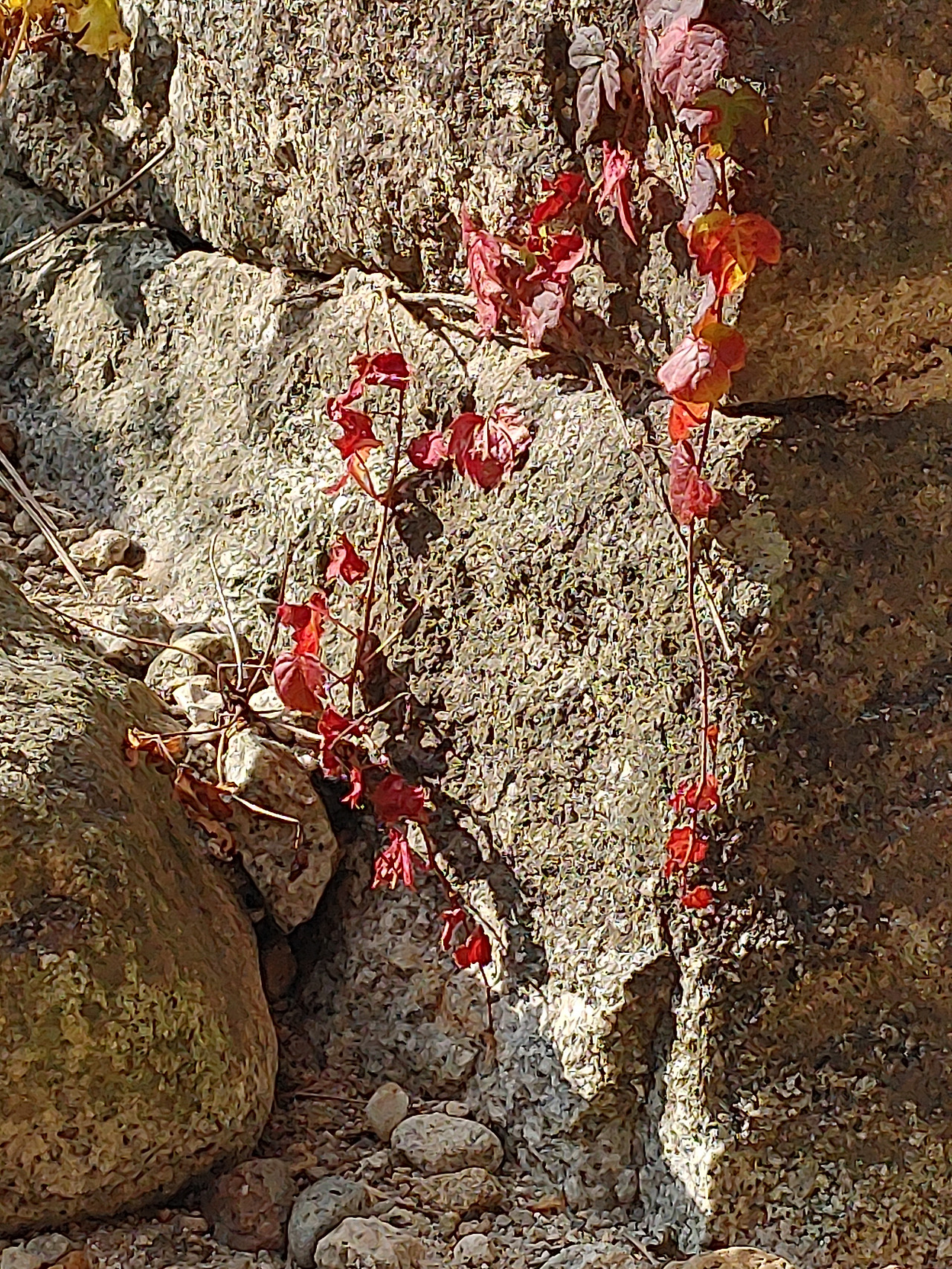 20201017_145906 (1).jpg