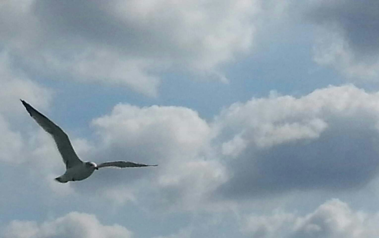 1568852784480 (1).jpg