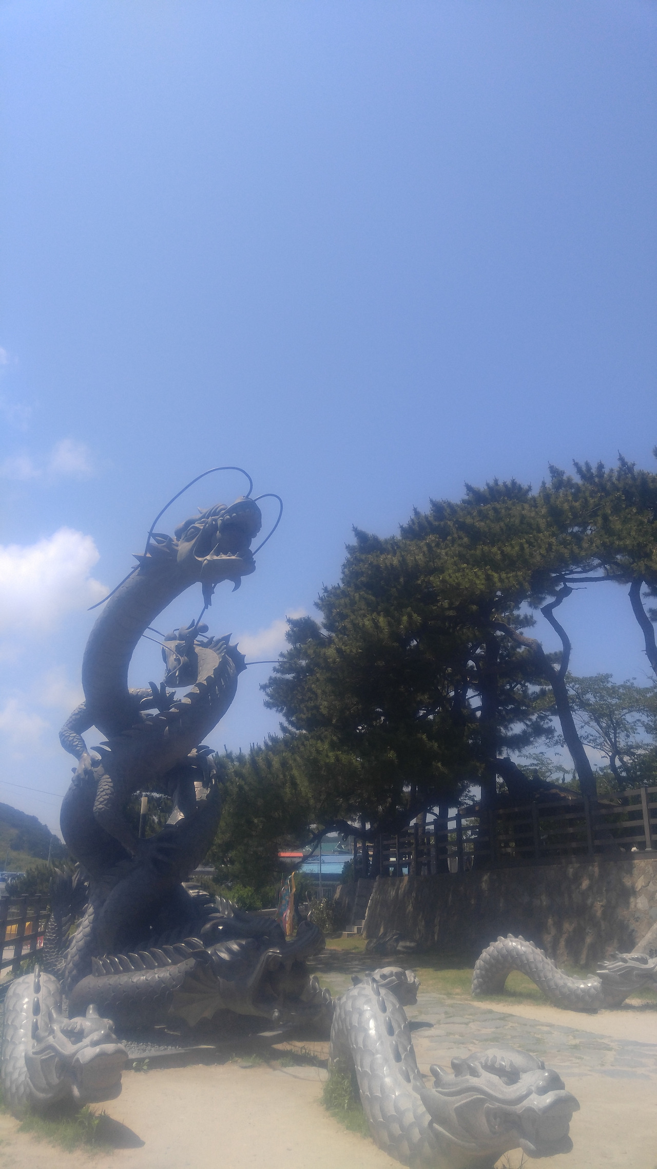 20200620_131832 (1).jpg