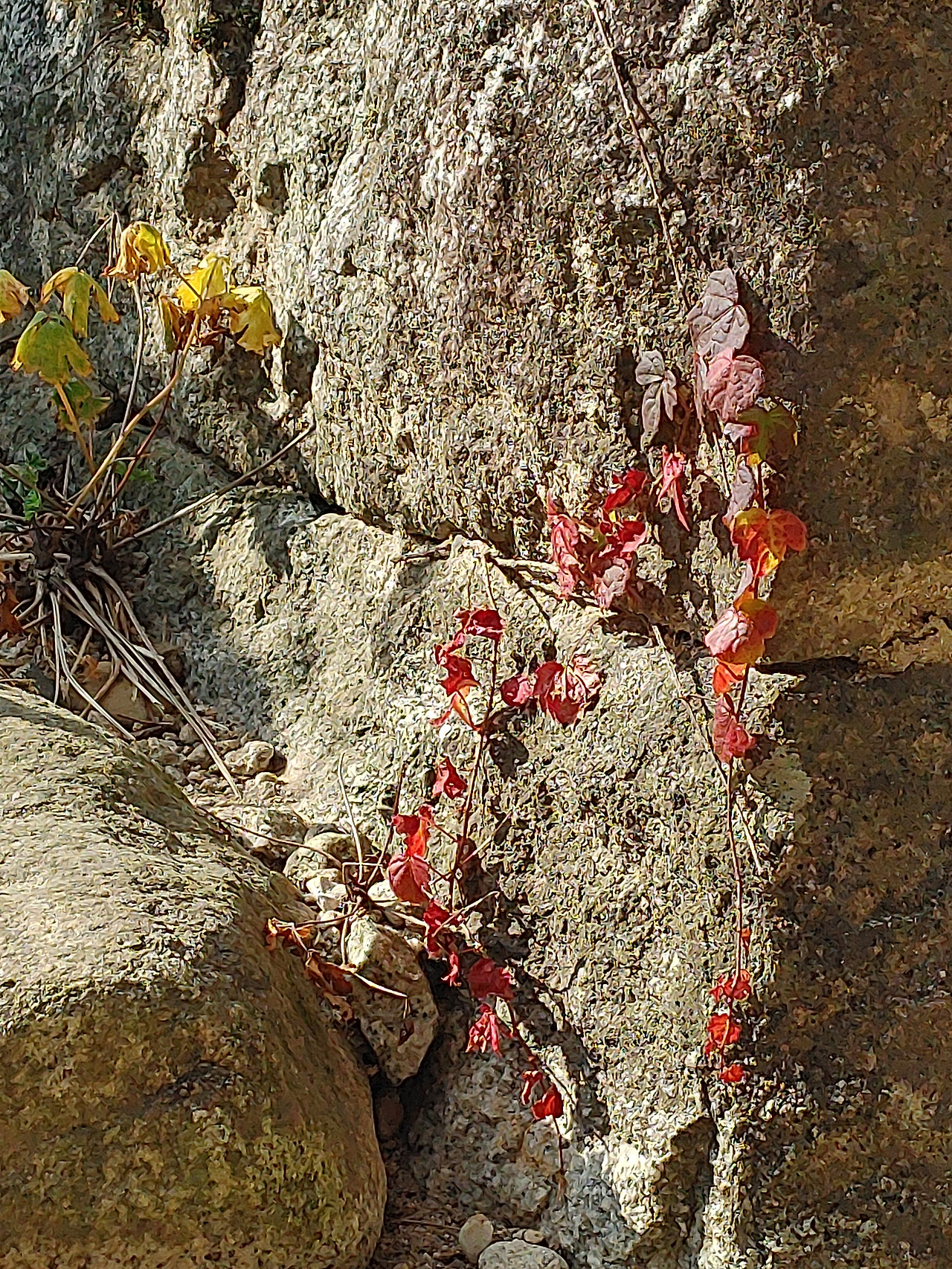 20201017_145930 (1).jpg