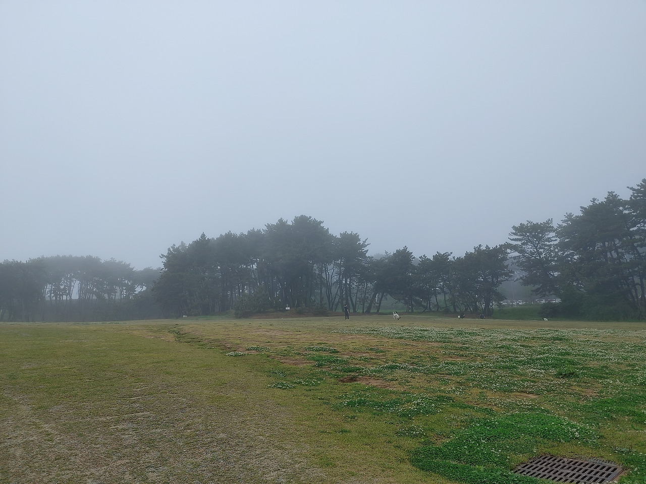 20230429_125850 (1).jpg