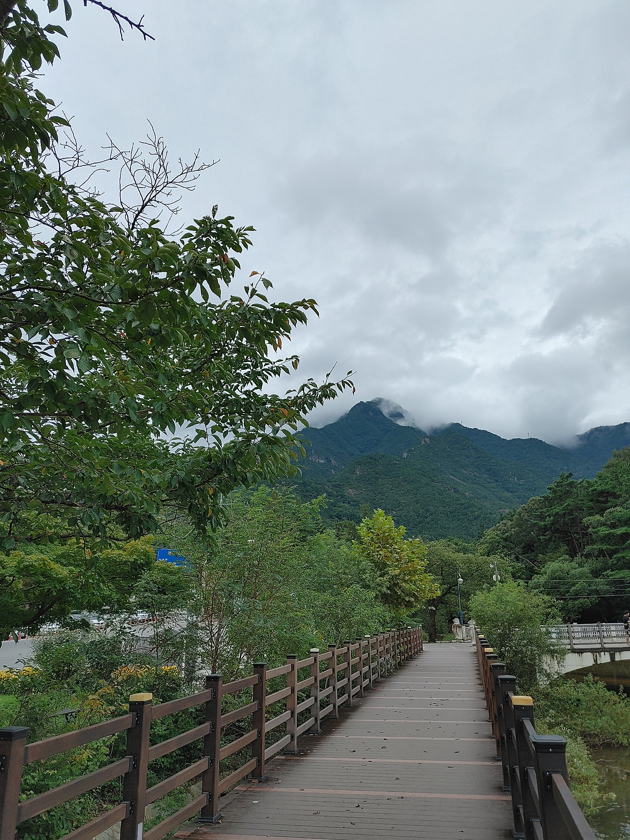 20200912_141332_HDR (1).jpg