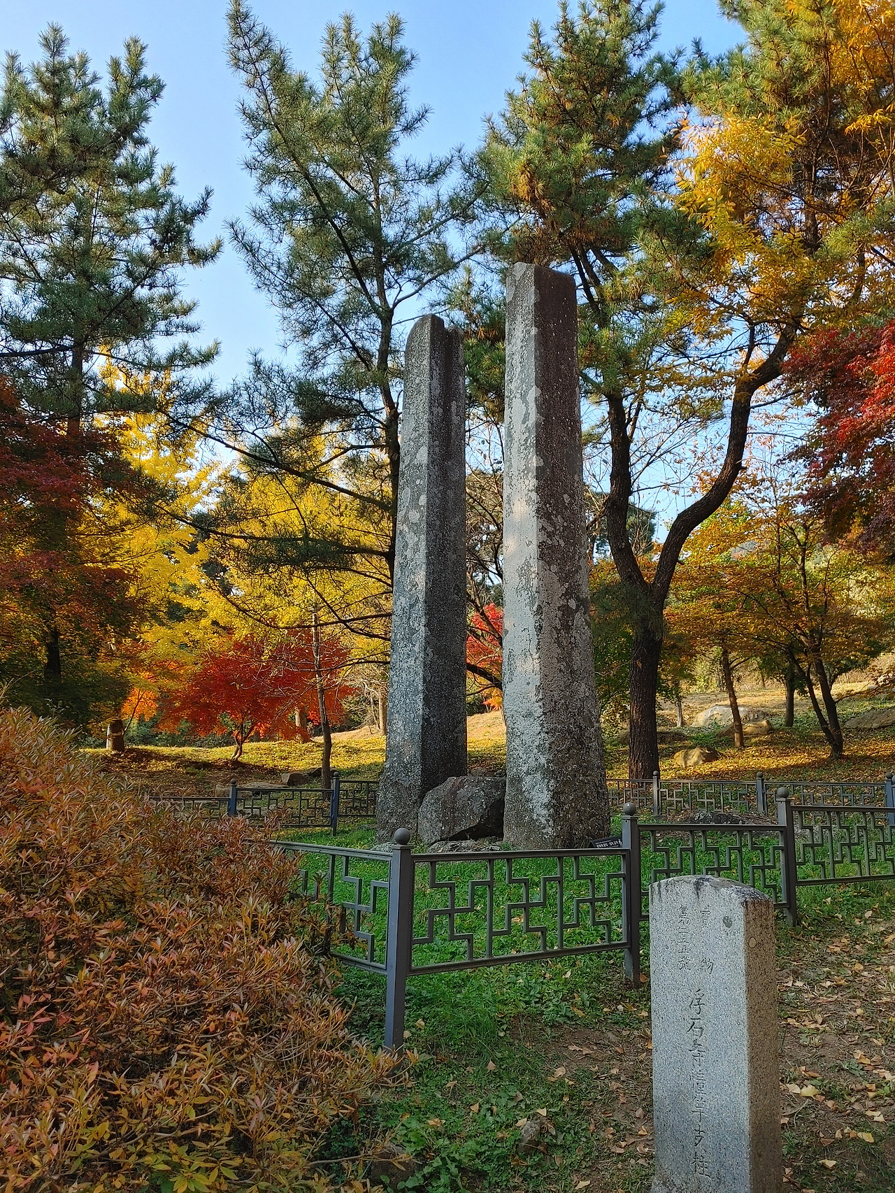 20211031_154912_HDR (1).jpg