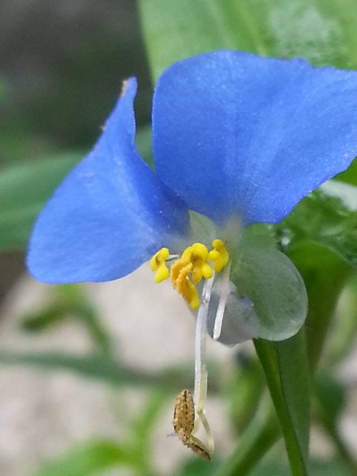 FB_IMG_1565640165832 (1).jpg