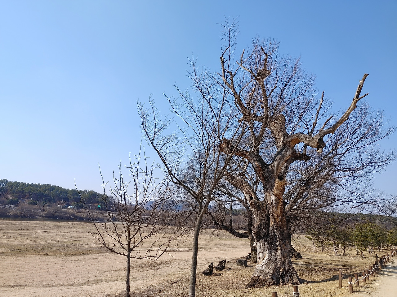 20230225_141844 (1).jpg