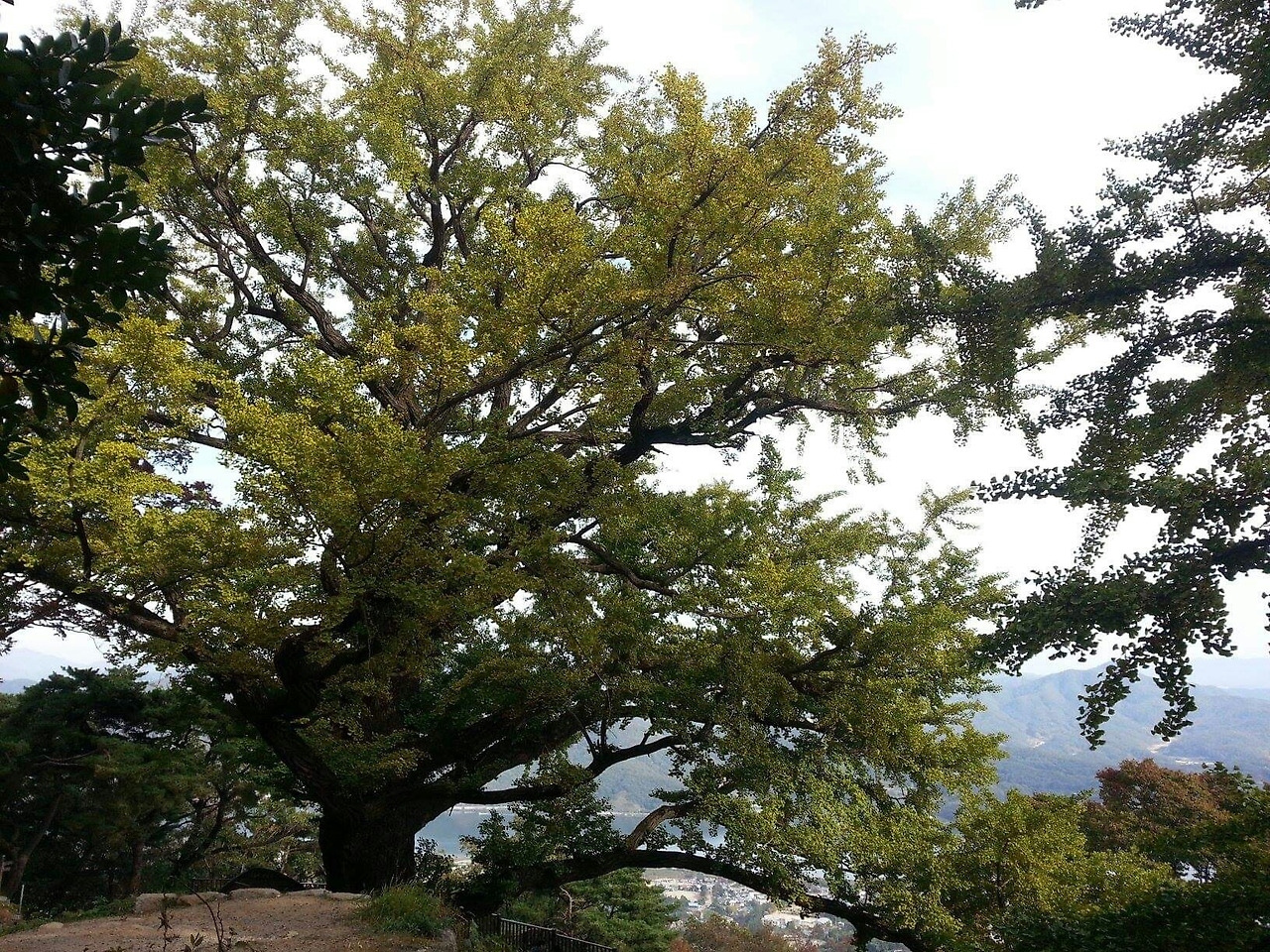 1571085373200 (1).jpg