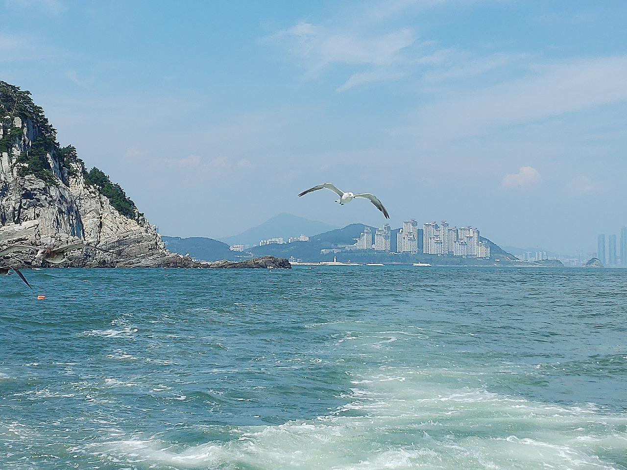 20200815_134746 (1).jpg