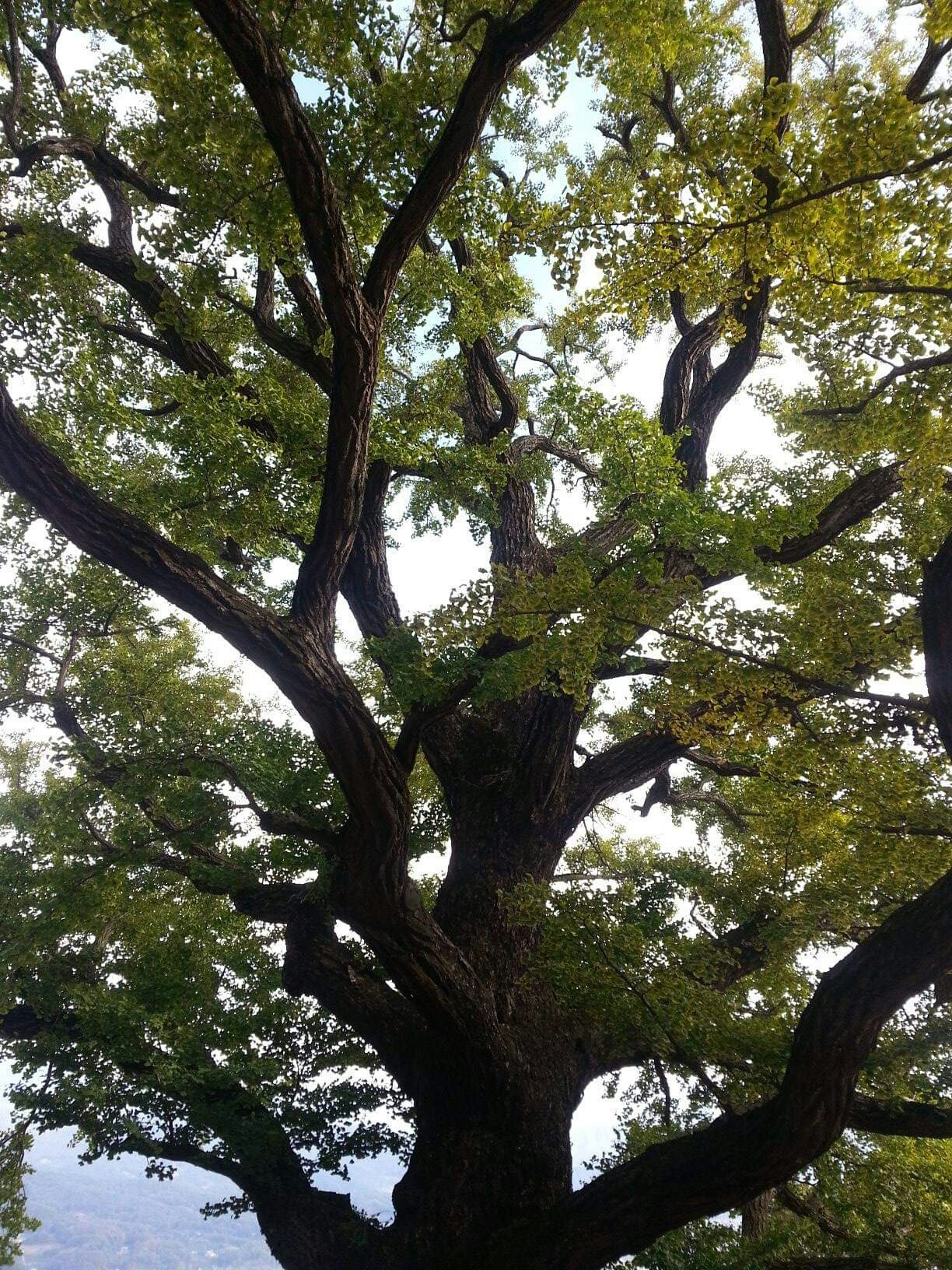 1571085373489 (1).jpg