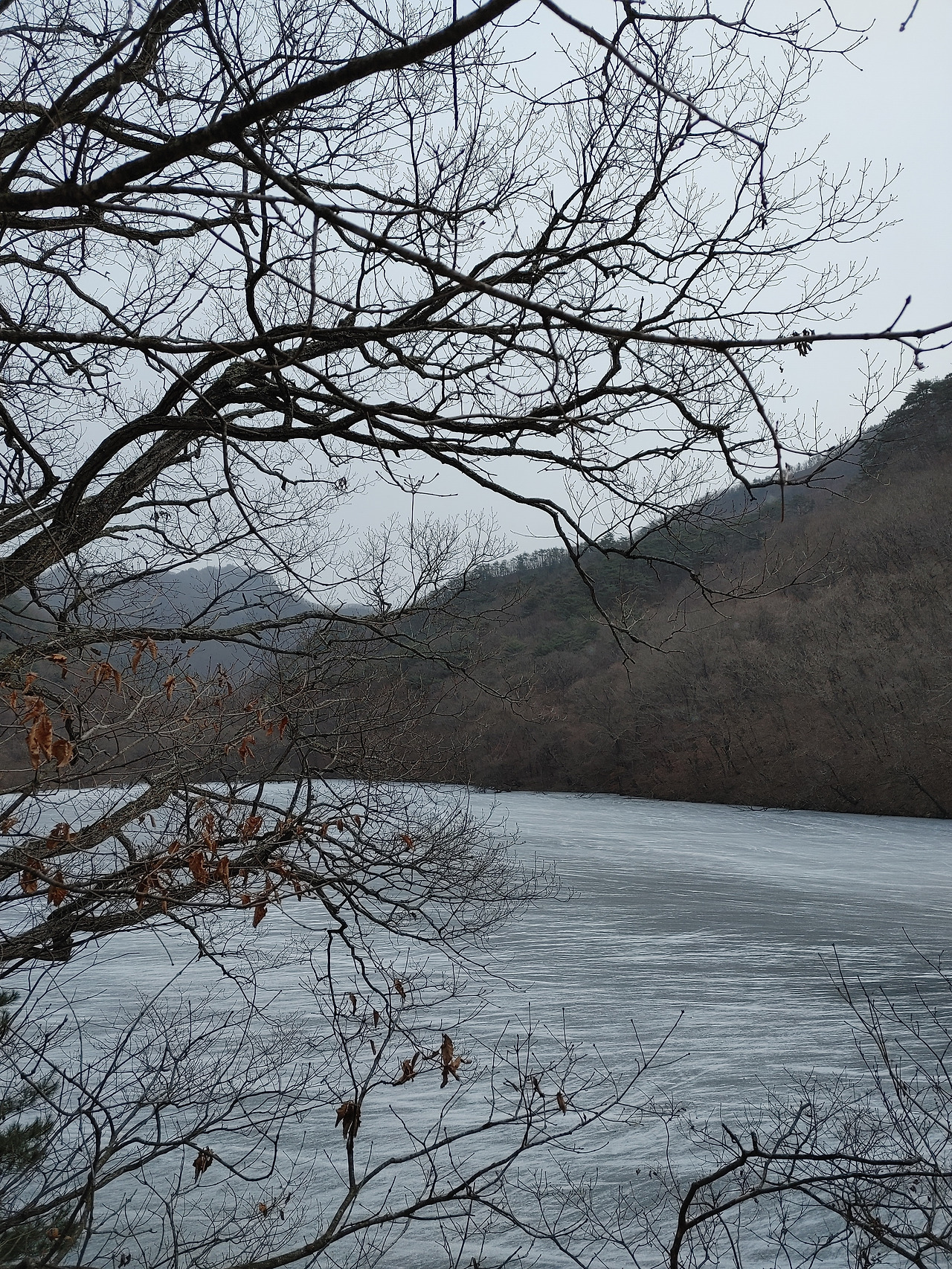 20221217_125833 (1).jpg