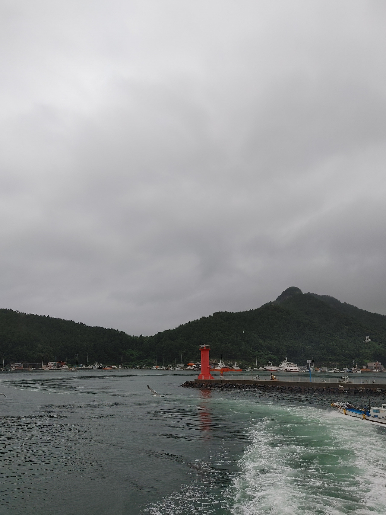 20200808_110338_HDR (1).jpg