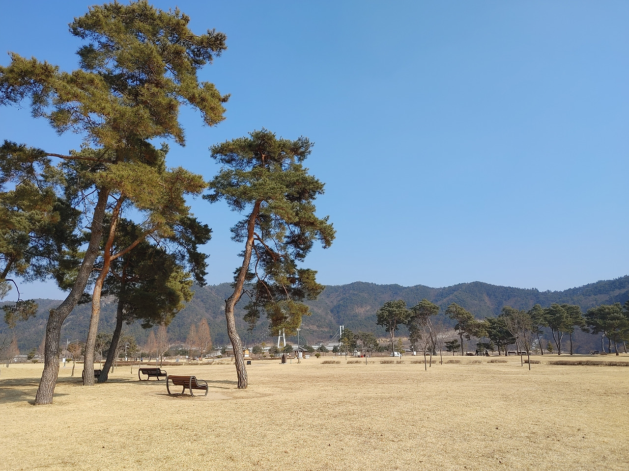 20220212_134629 (1).jpg