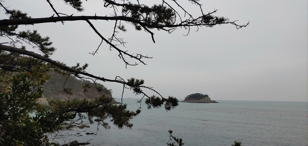 1674521651913 (1).jpg