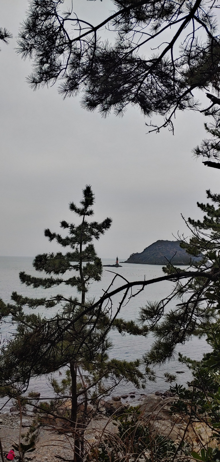 1674521652083 (1).jpg