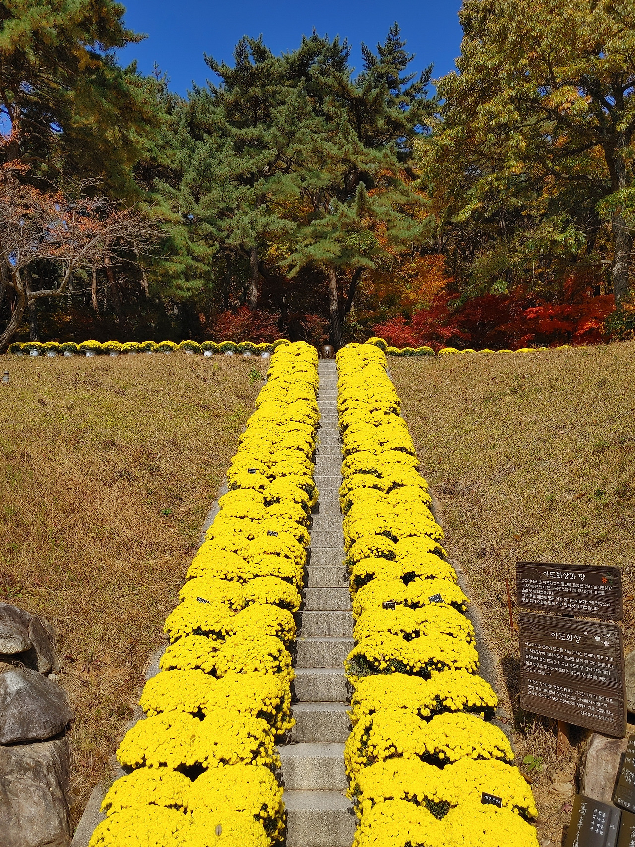 20211106_112150 (1).jpg