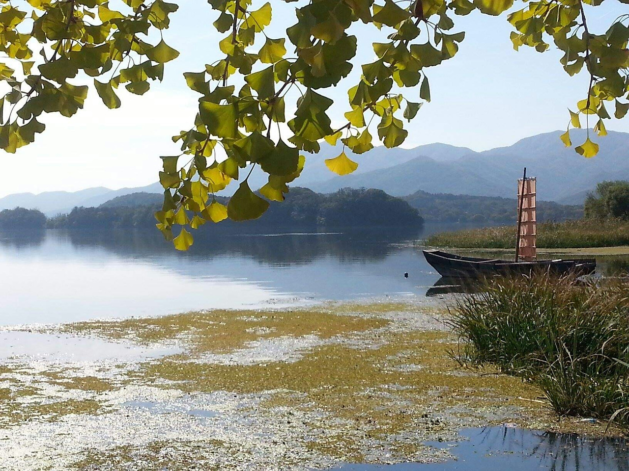 1570832446141 (1).jpg