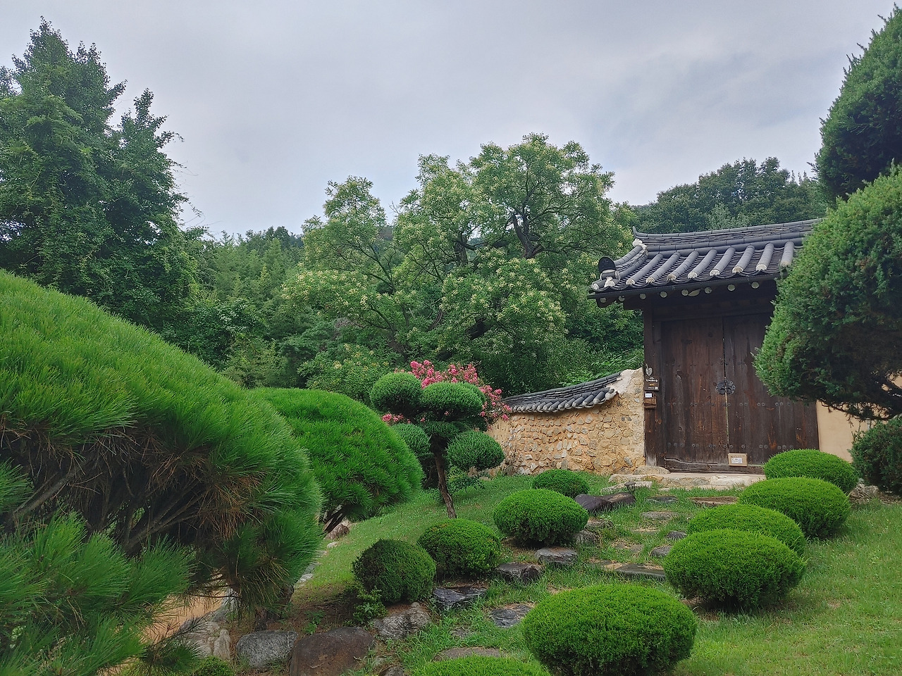 20220810_155111_HDR (1).jpg