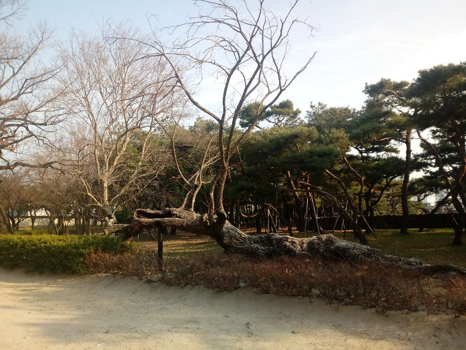 1550364722843 (1).jpg