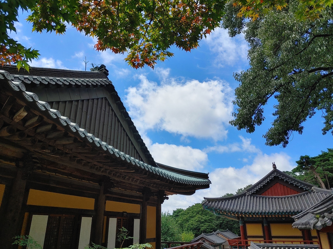 20220812_112931_HDR (1).jpg