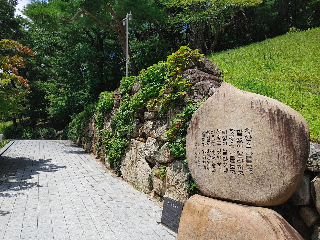 20220812_120051_HDR (1).jpg