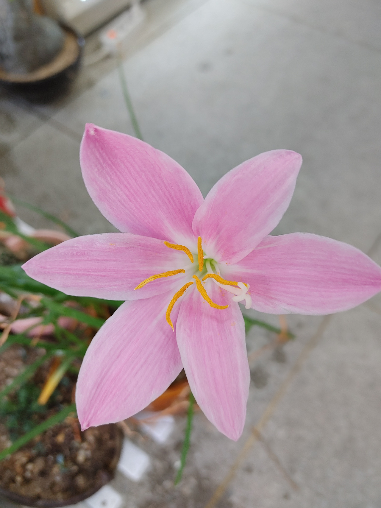 20201117_085830 (1).jpg