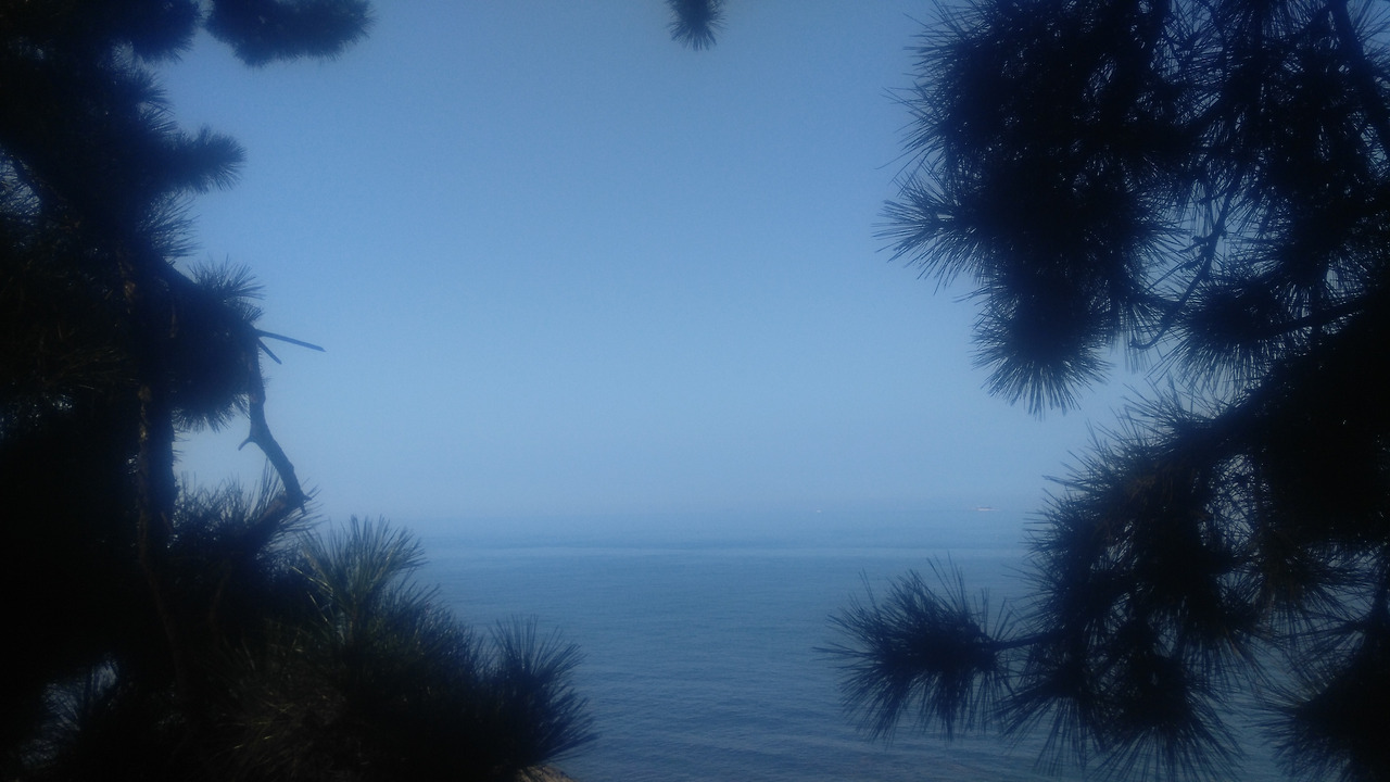 20191019_101304 (1).jpg