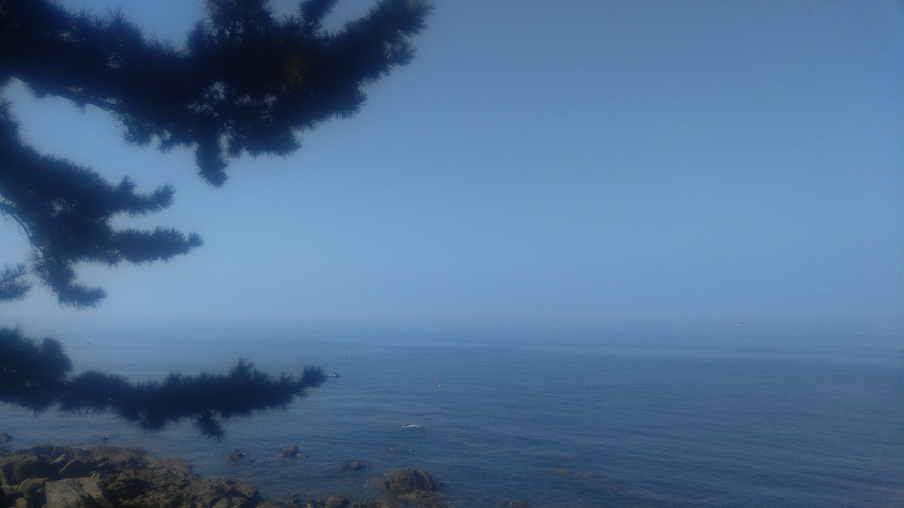 20191019_101455 (1).jpg