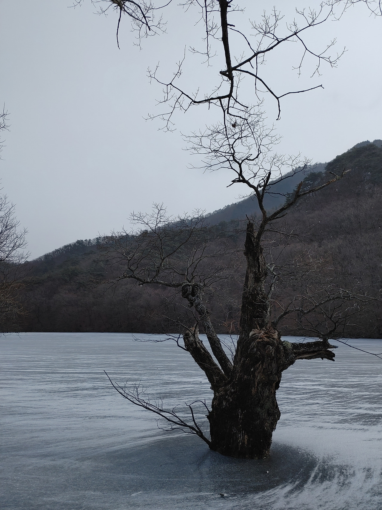 20221217_130011 (1).jpg