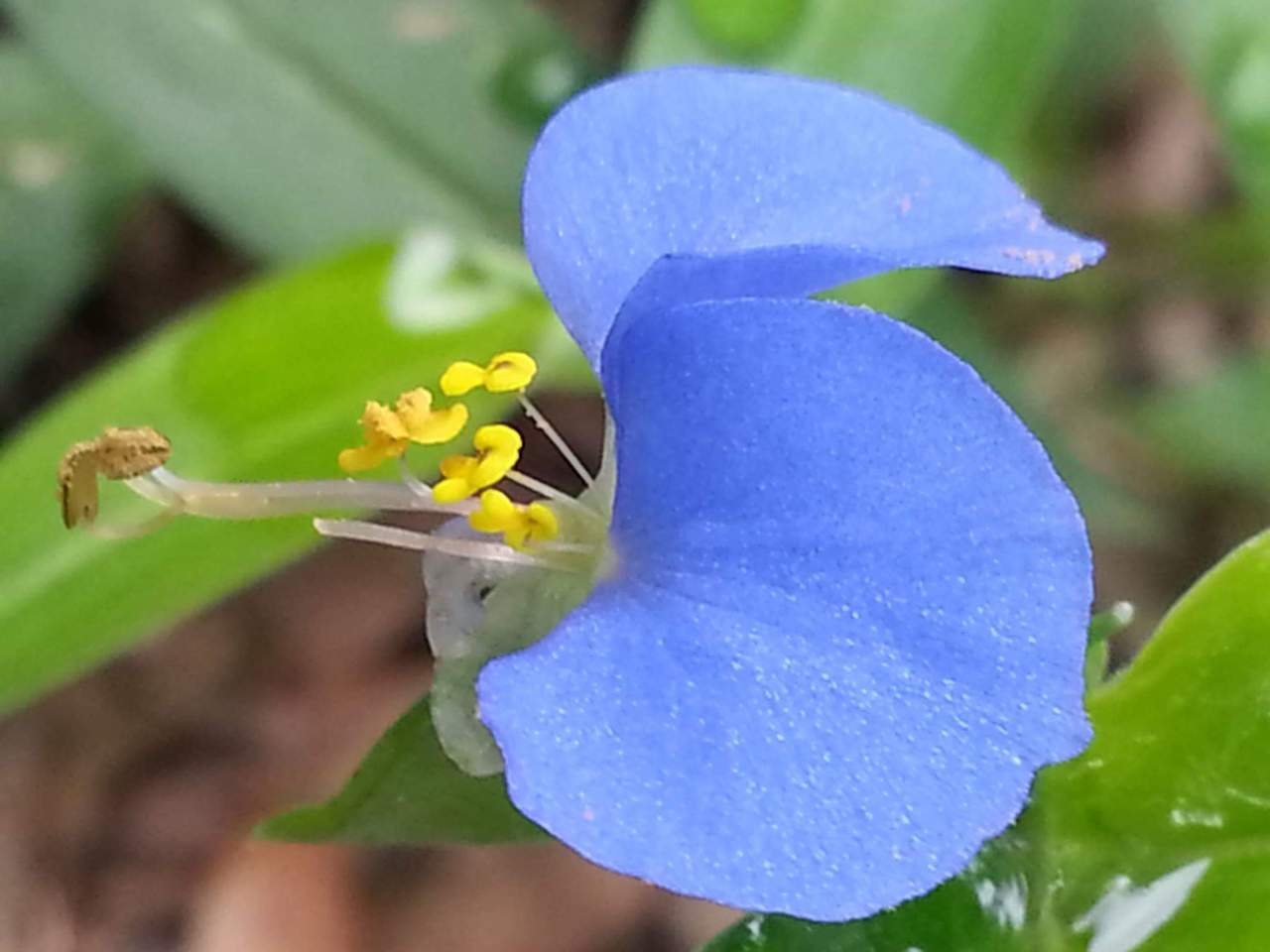 FB_IMG_1565640165832 (2).jpg