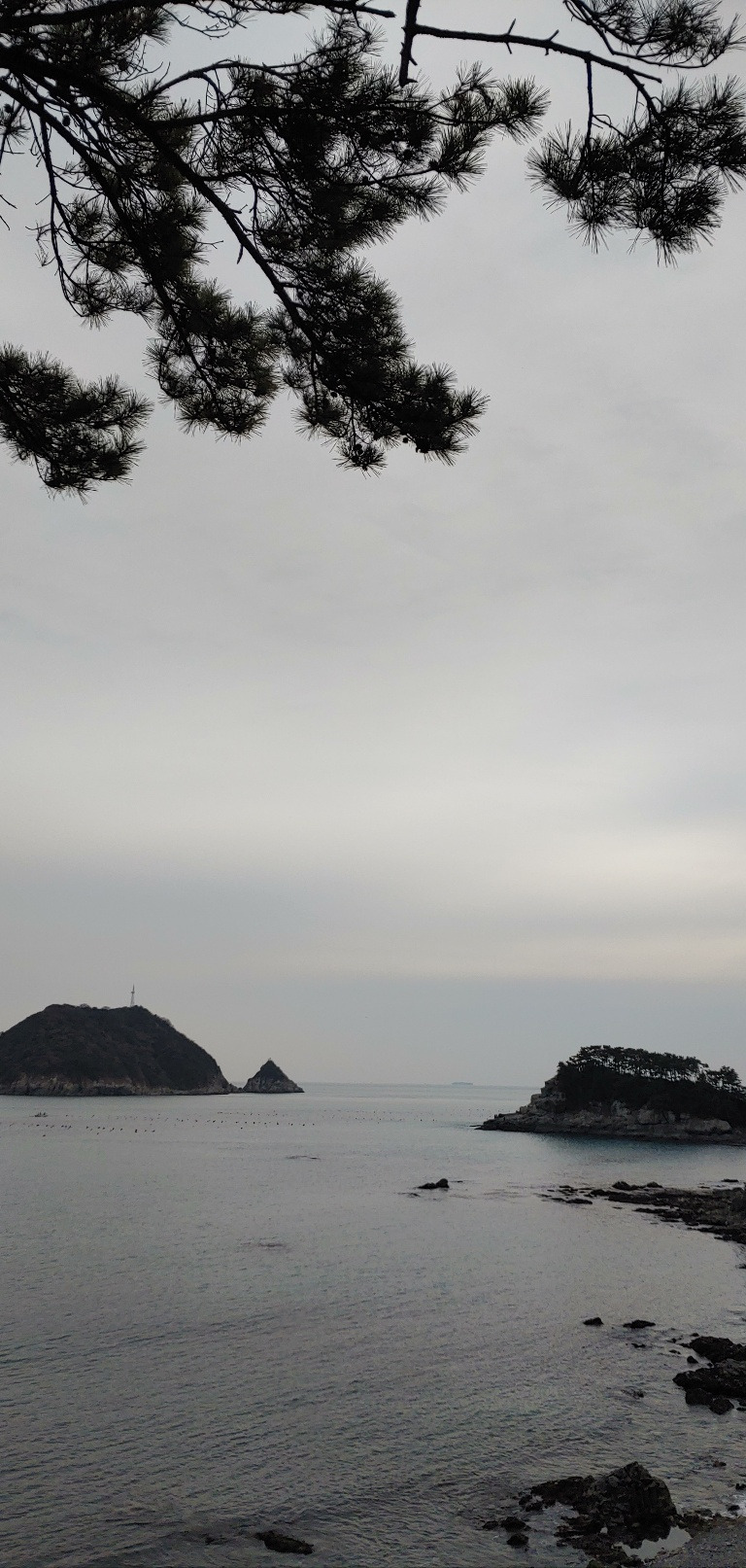 1674521651865 (1).jpg