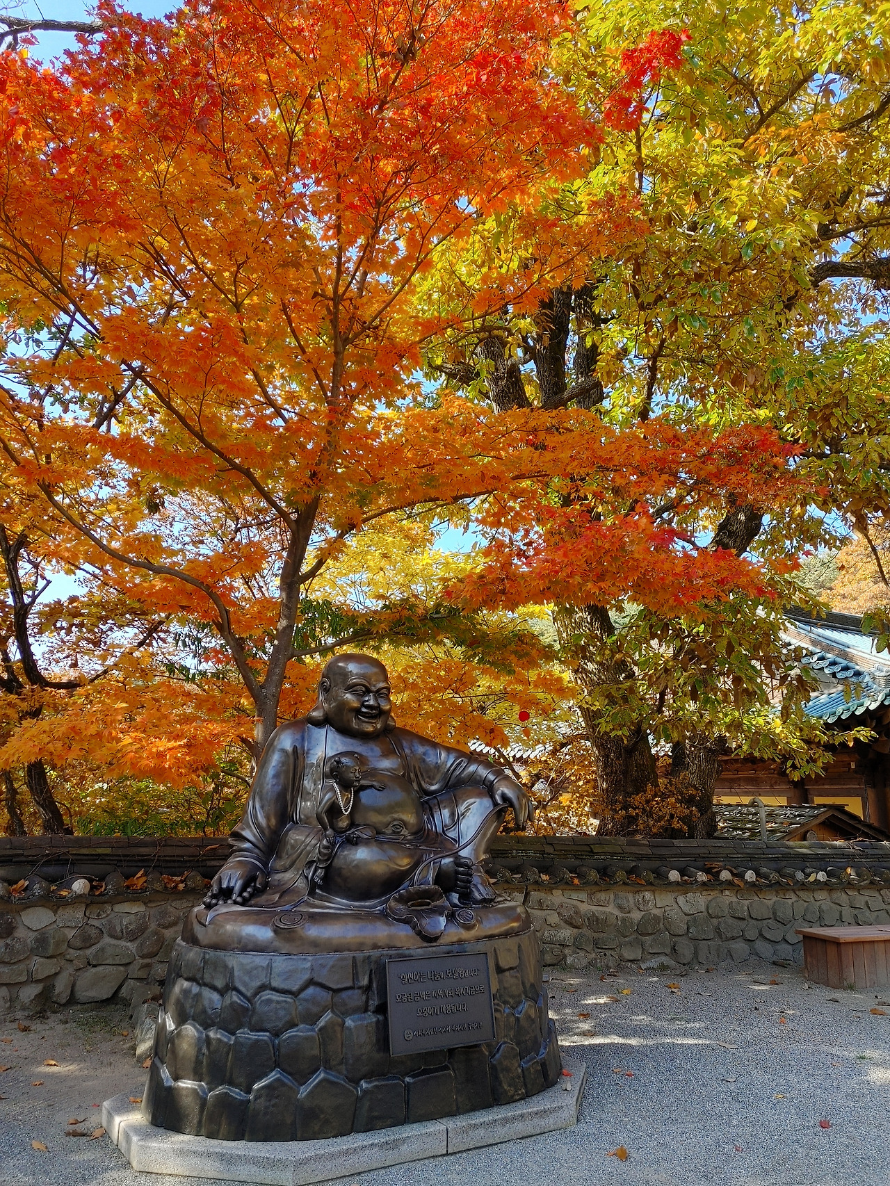 20211106_112514_HDR (1).jpg