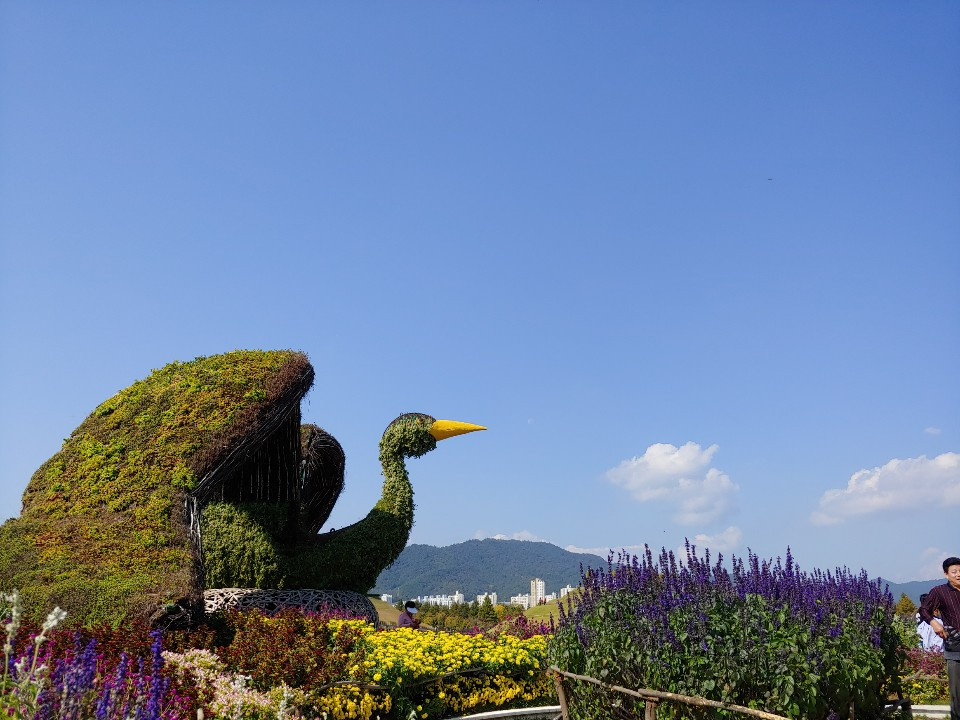 1571609475161 (1).jpg