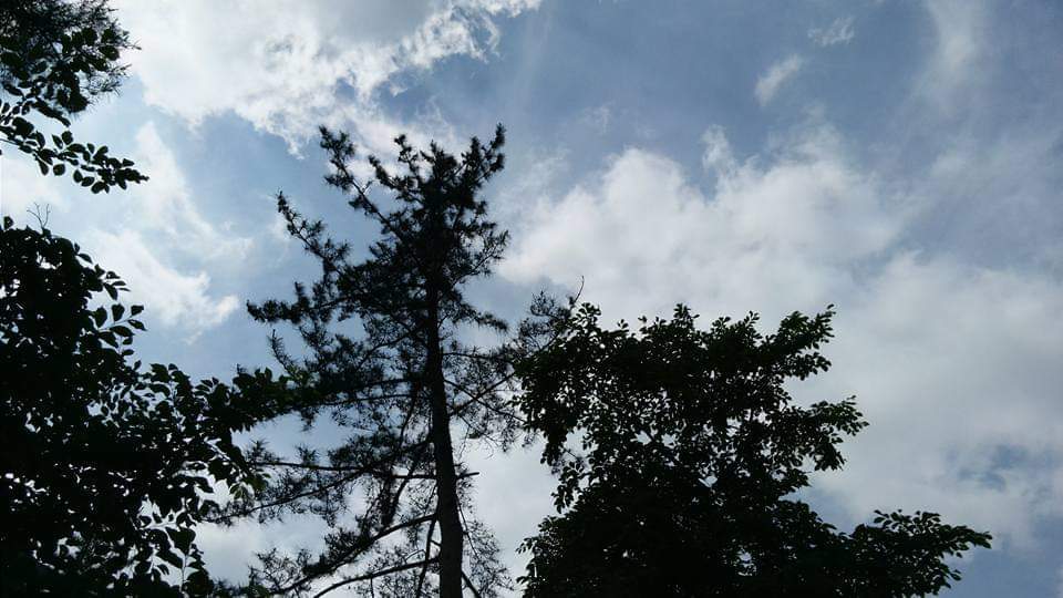 FB_IMG_1623186919625 (1).jpg