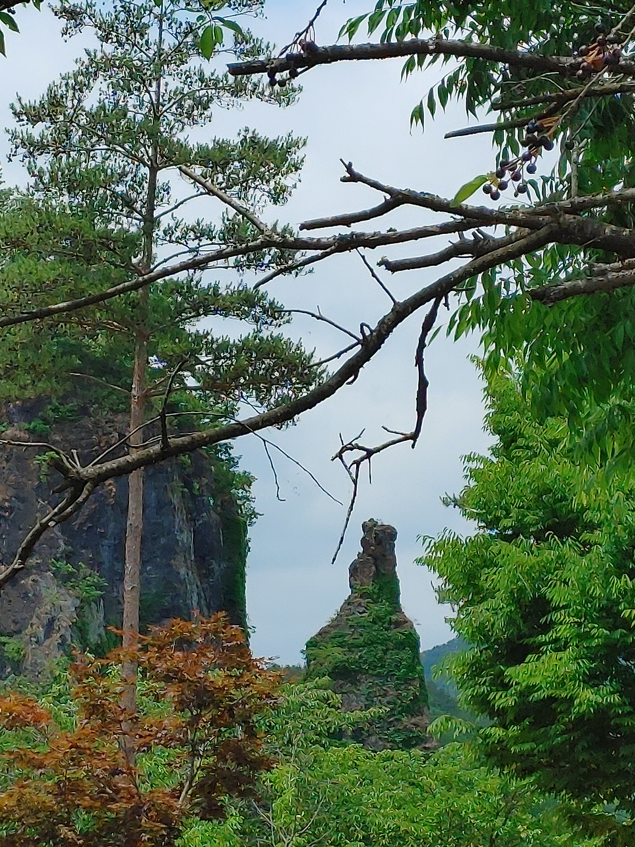 20220612_121208 (1).jpg