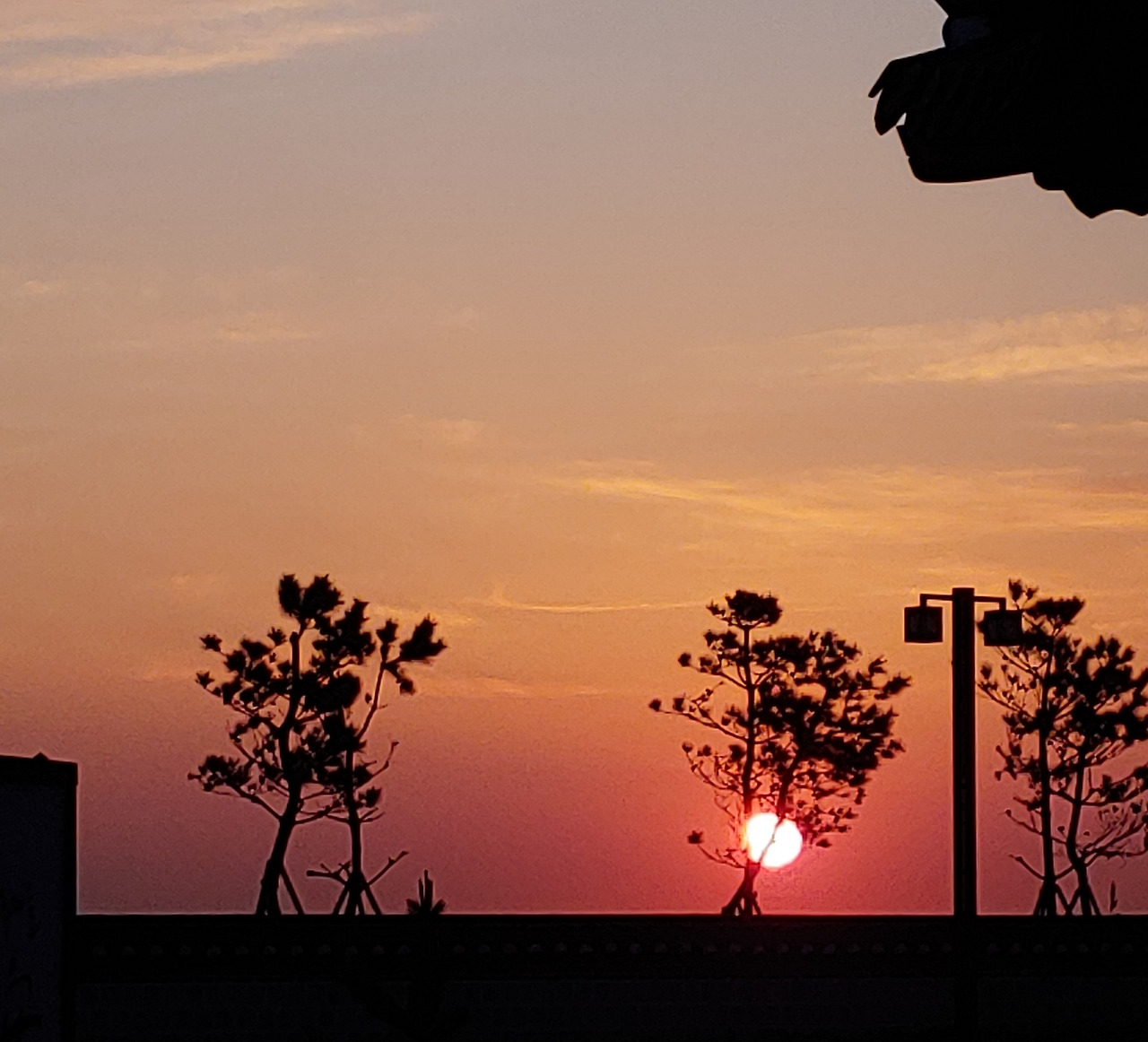 20200411_060147(1) (1).jpg