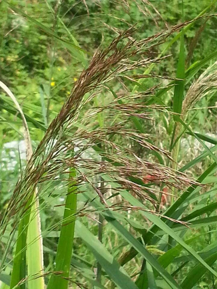 1568154421971 (1).jpg