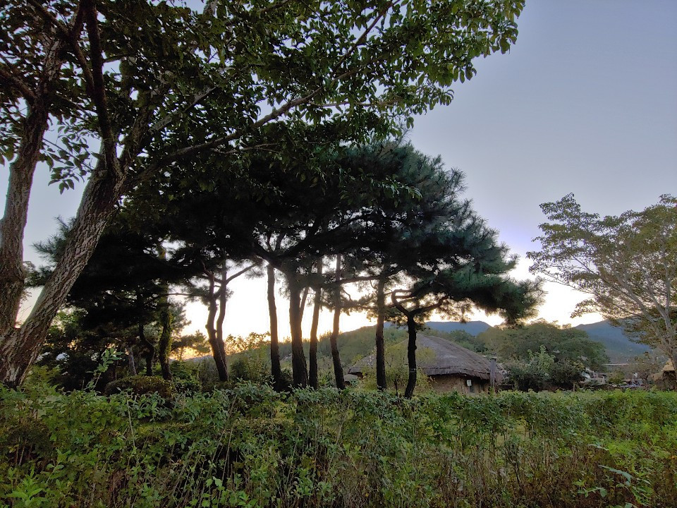 1571525658810 (1).jpg