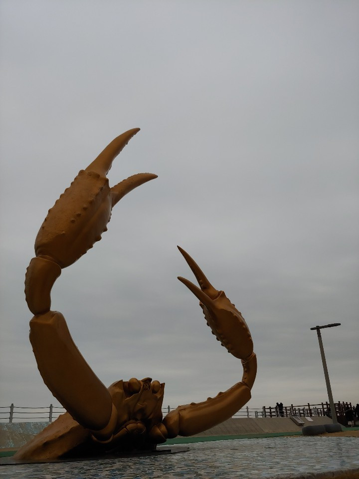 1583634903481 (1).jpg