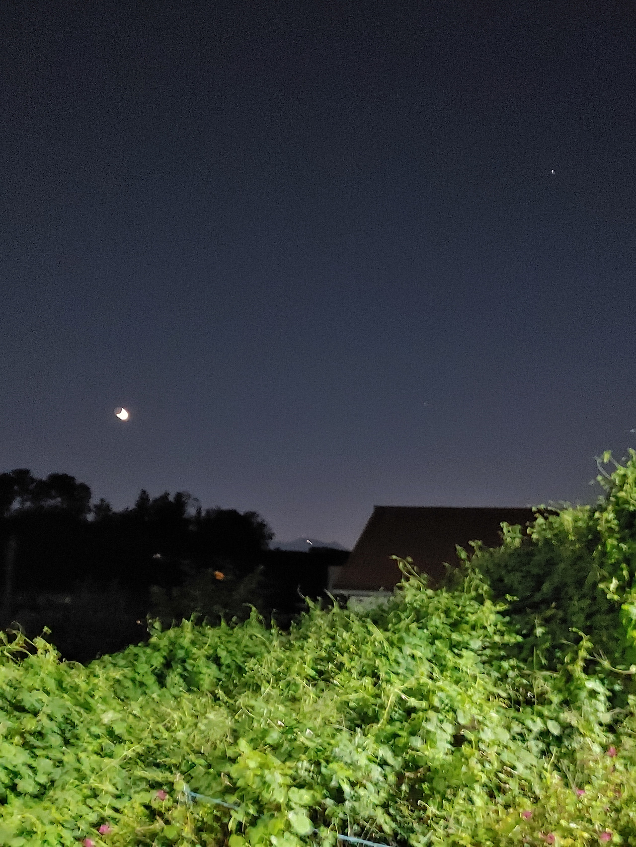 20200920_191909_HDR (1).jpg