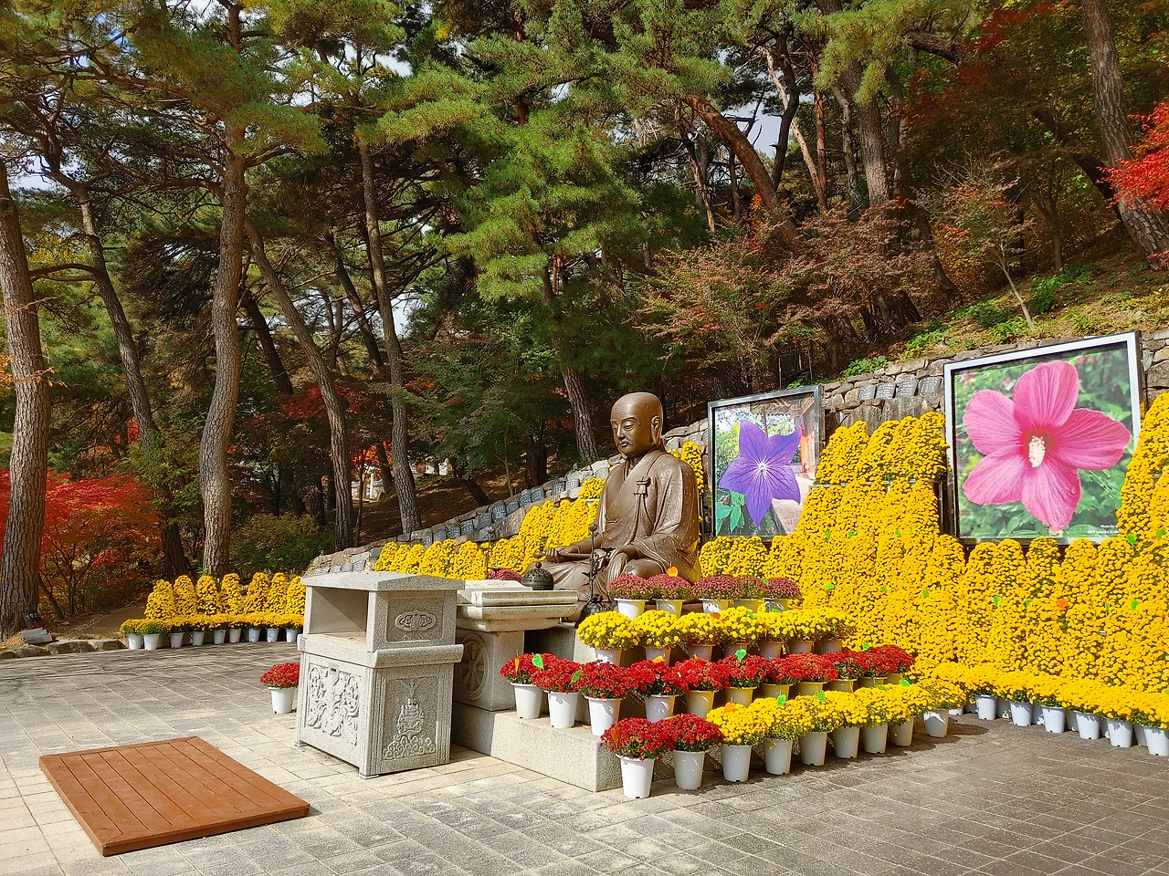 20221029_105421_HDR (1).jpg