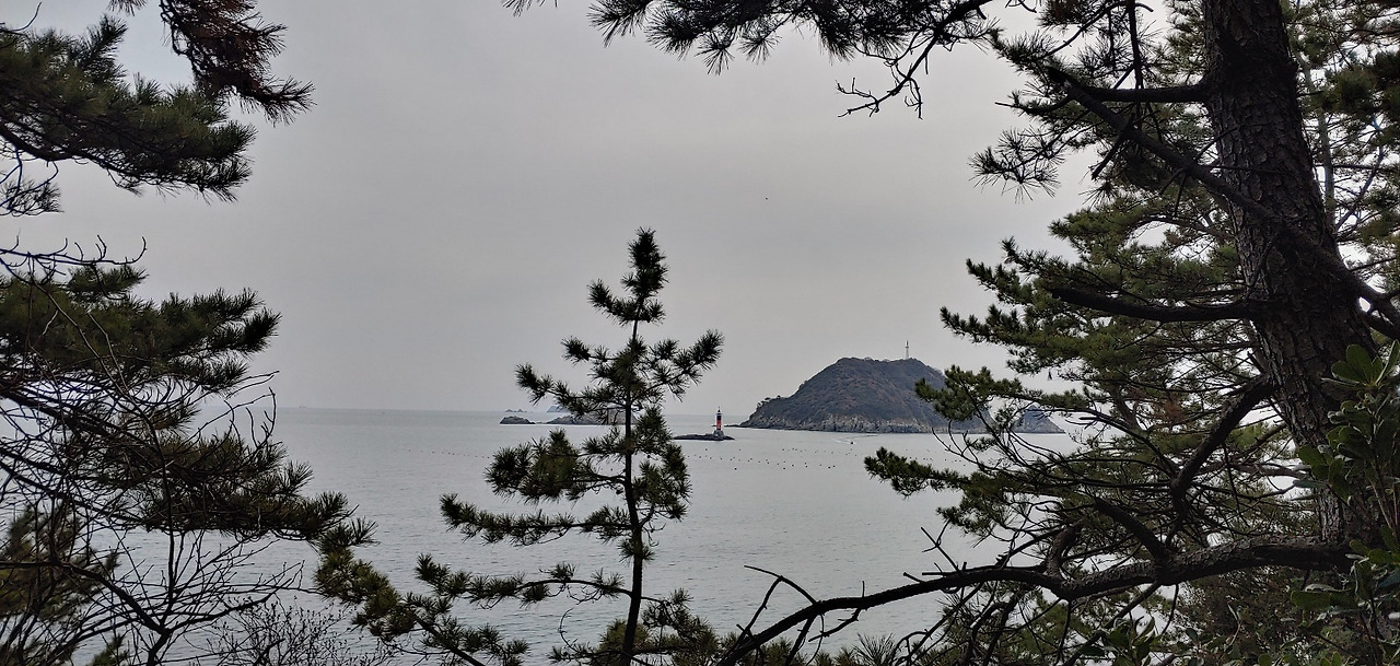 1674521652022 (1).jpg