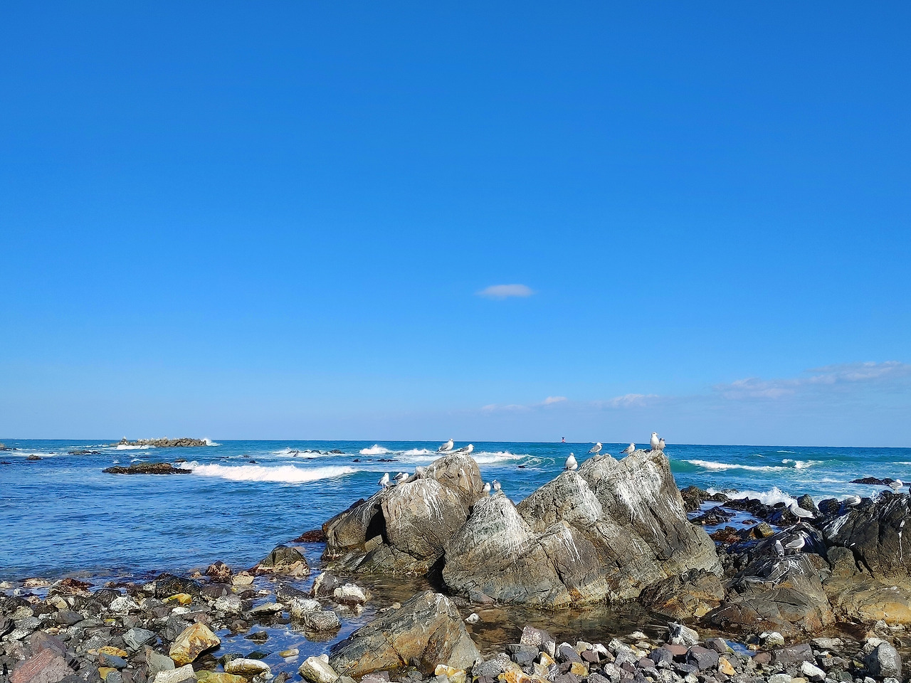 20230110_135555_HDR (1).jpg