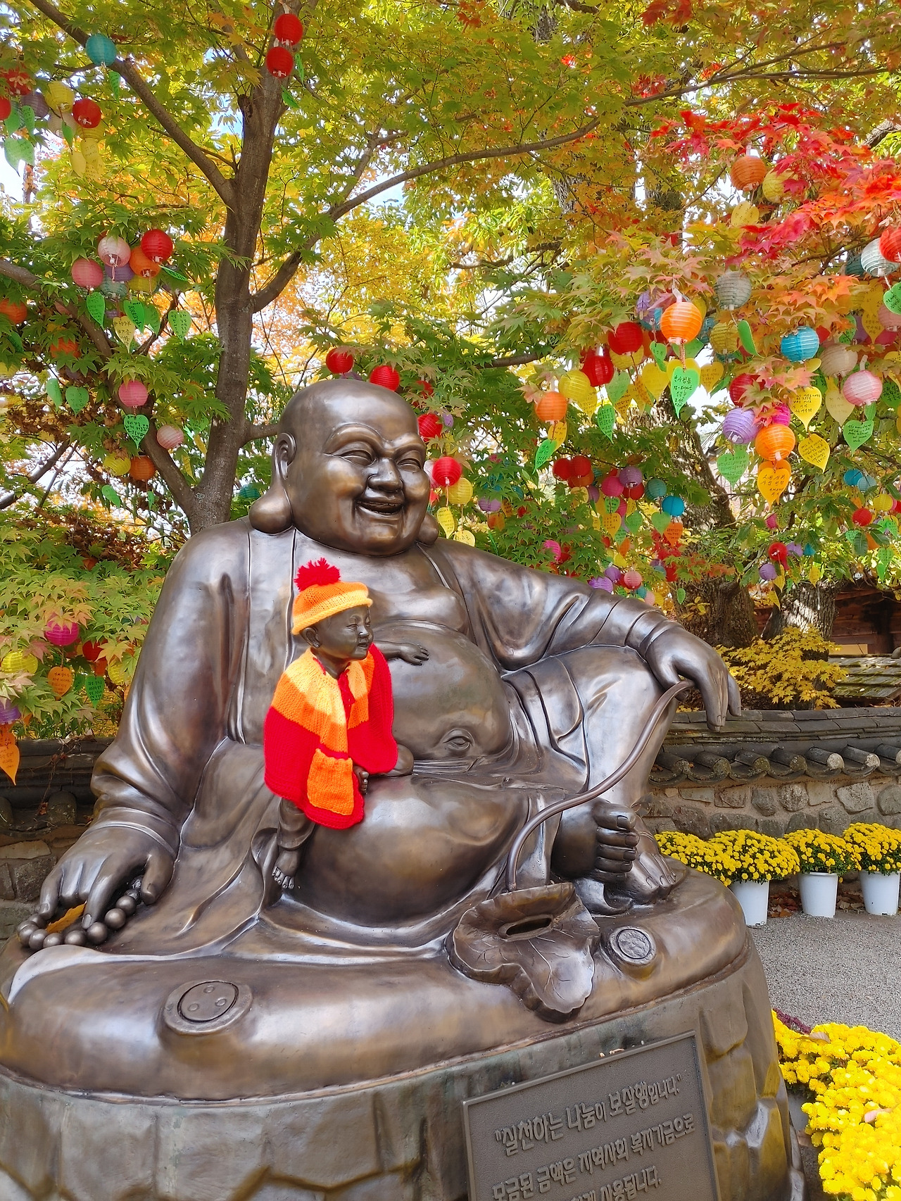 20221029_105849_HDR (1).jpg