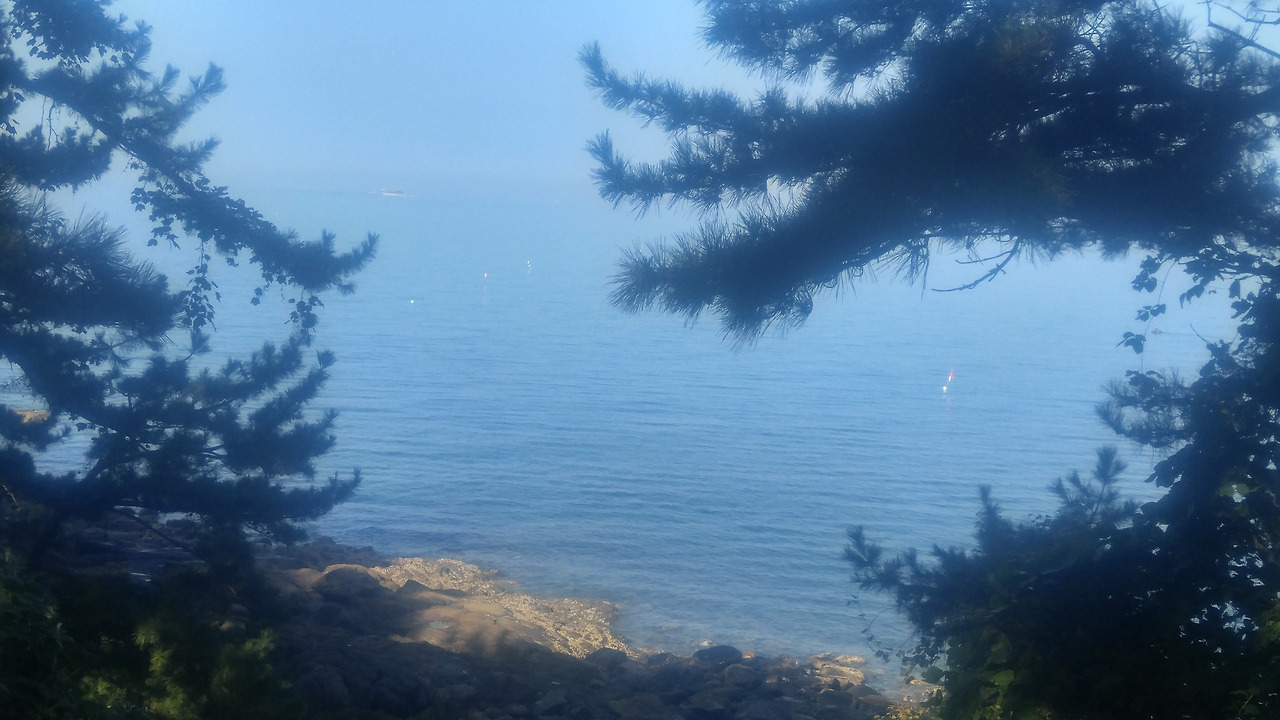 20191019_095814_HDR (1).jpg