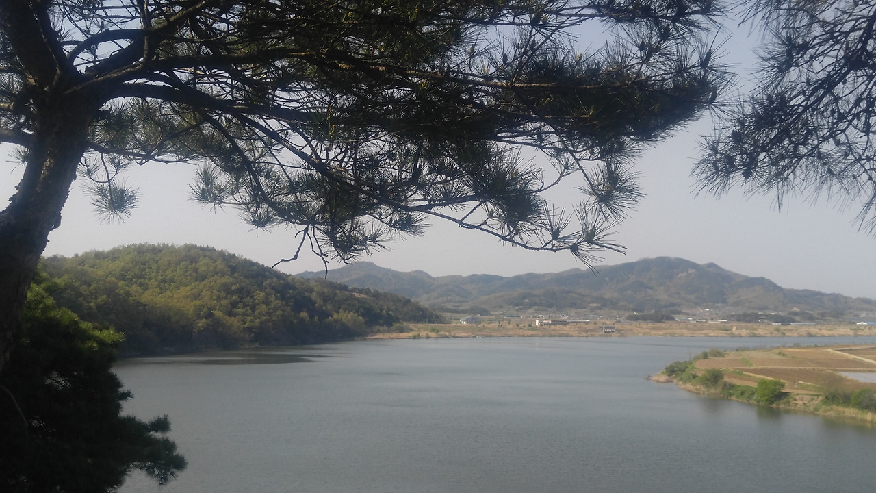 20180419_154828 (1).jpg