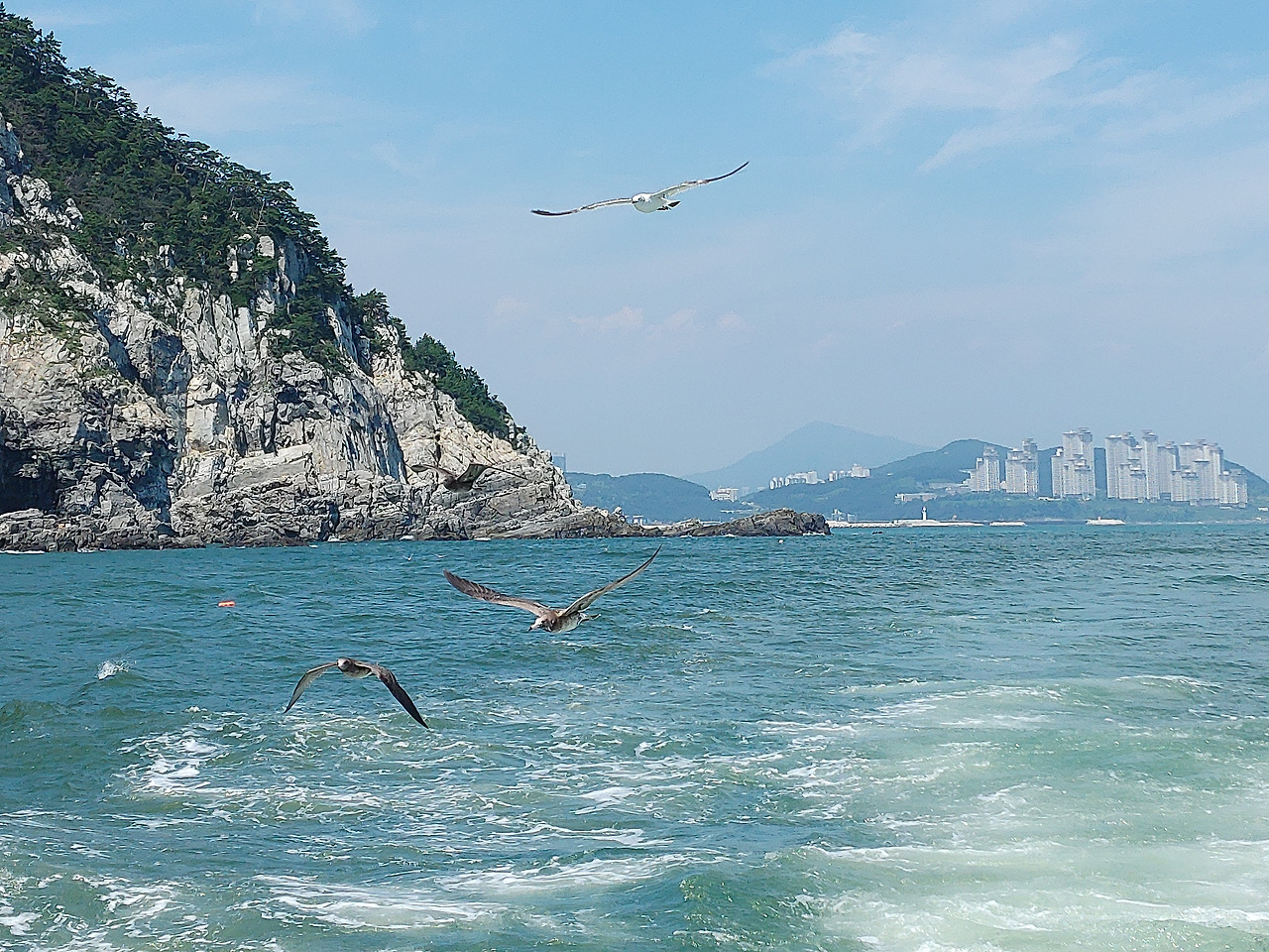 20200815_134743 (1).jpg