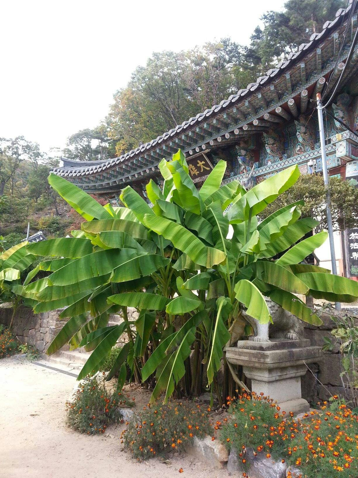 1571085372952 (1).jpg