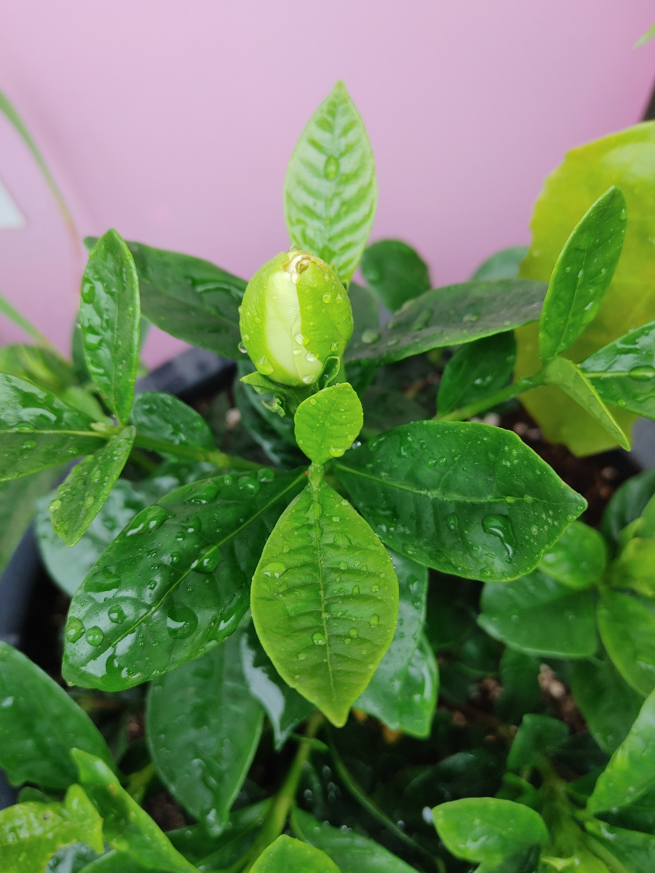 20210516_115726 (1).jpg