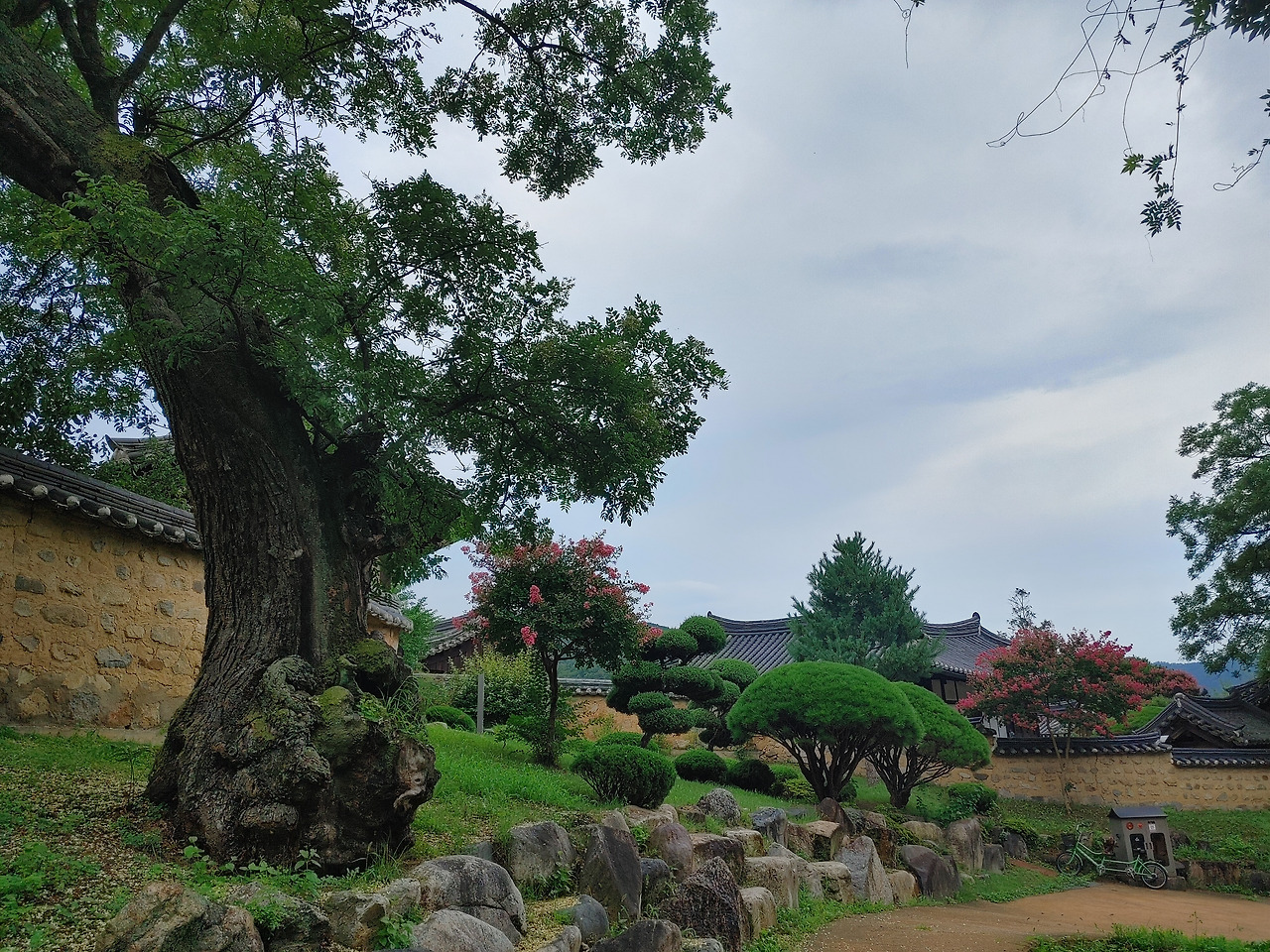 20220810_155224_HDR (1).jpg