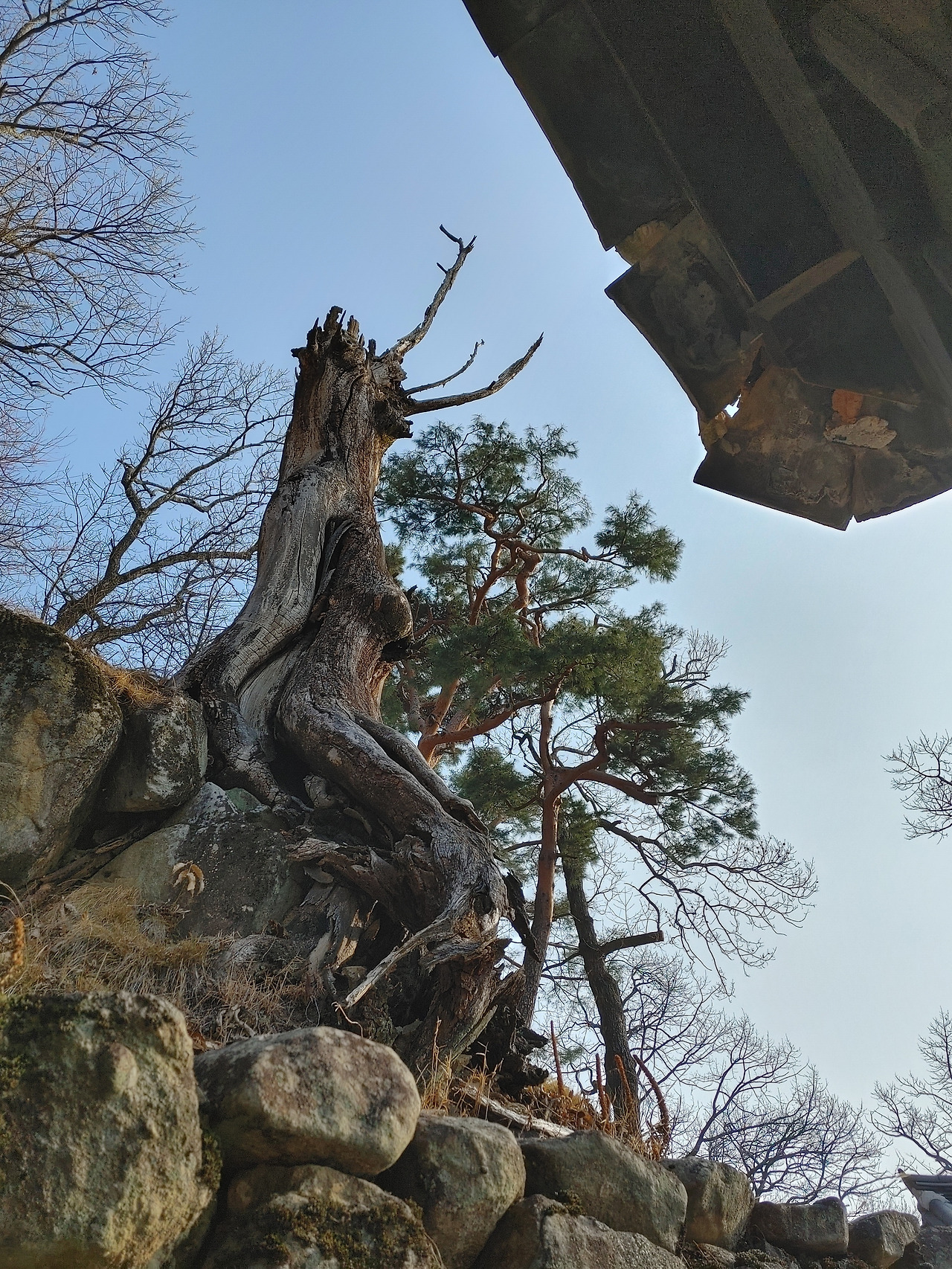 20230101_102624_HDR (1).jpg